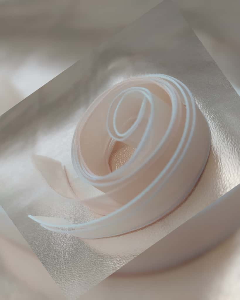 Stock Nastri Rigidi ed Elastici NASTRO ORGANZA 1